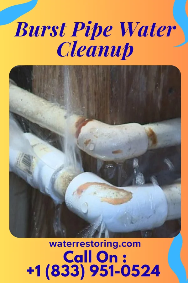 Burst Pipe Water Cleanup in Wilson's Mills, NC