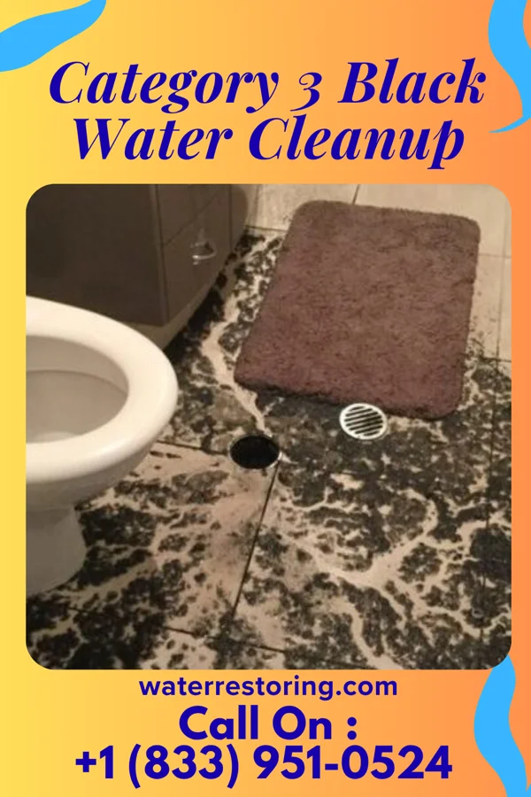 Category 3 Black Water Cleanup in Wilson's Mills, NC