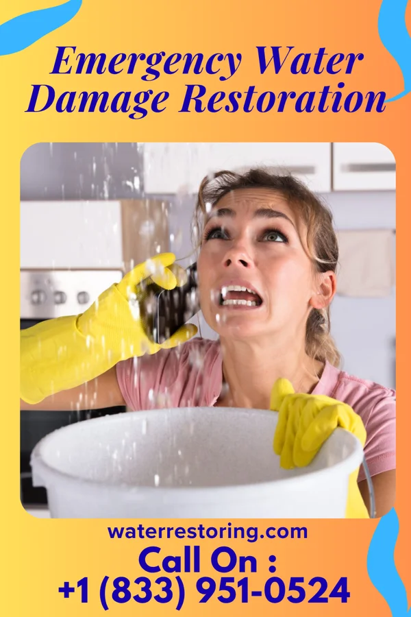 Emergency Water Damage Restoration in Wilson's Mills, NC