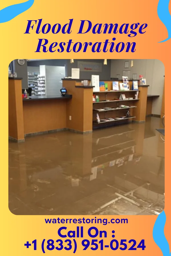 Flood Damage Restoration in Wilson's Mills, NC