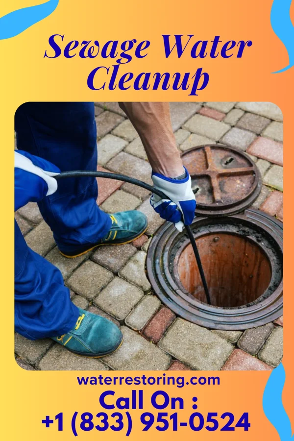 Sewage Water Cleanup in Wilson's Mills, NC